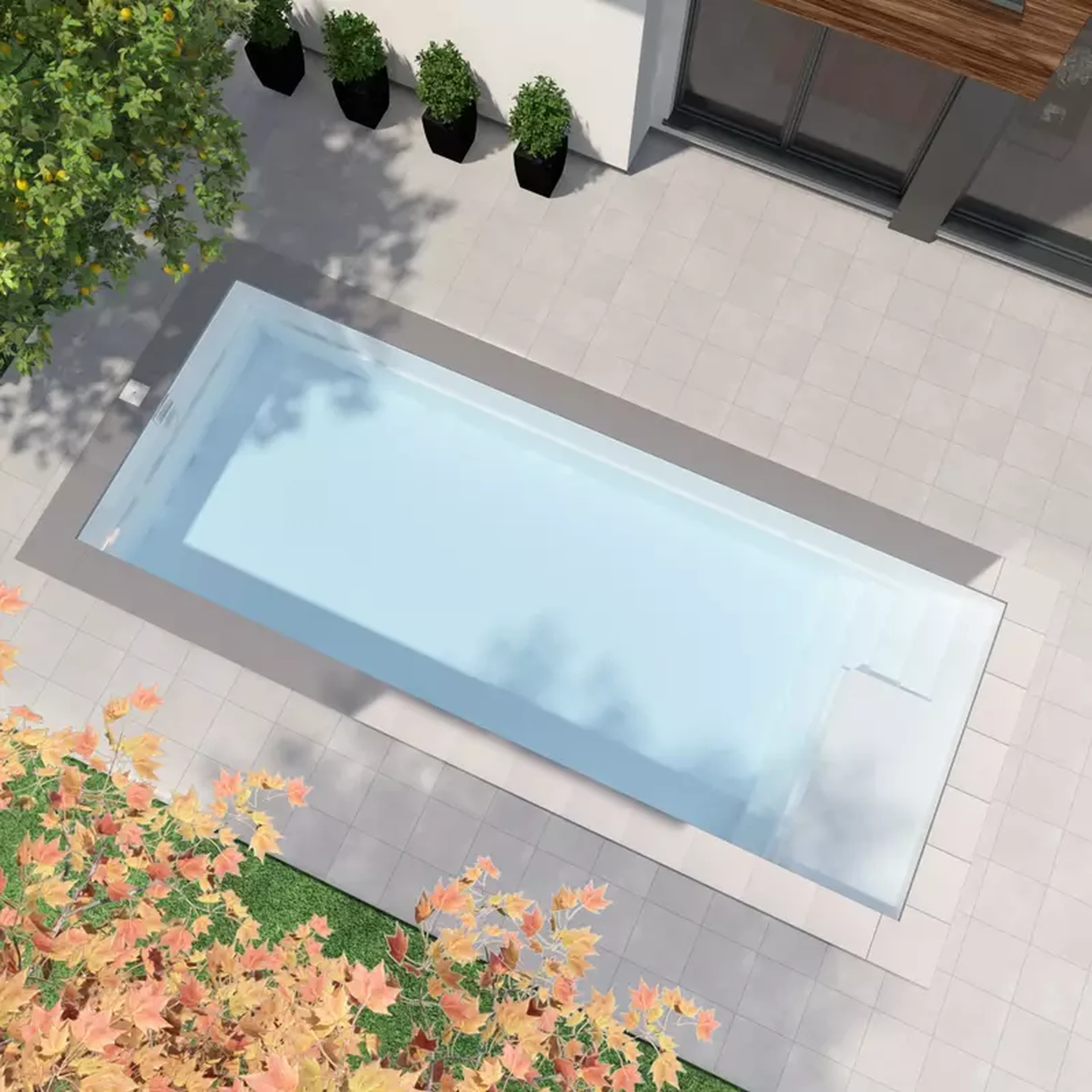 Piscine rectangulaire P800